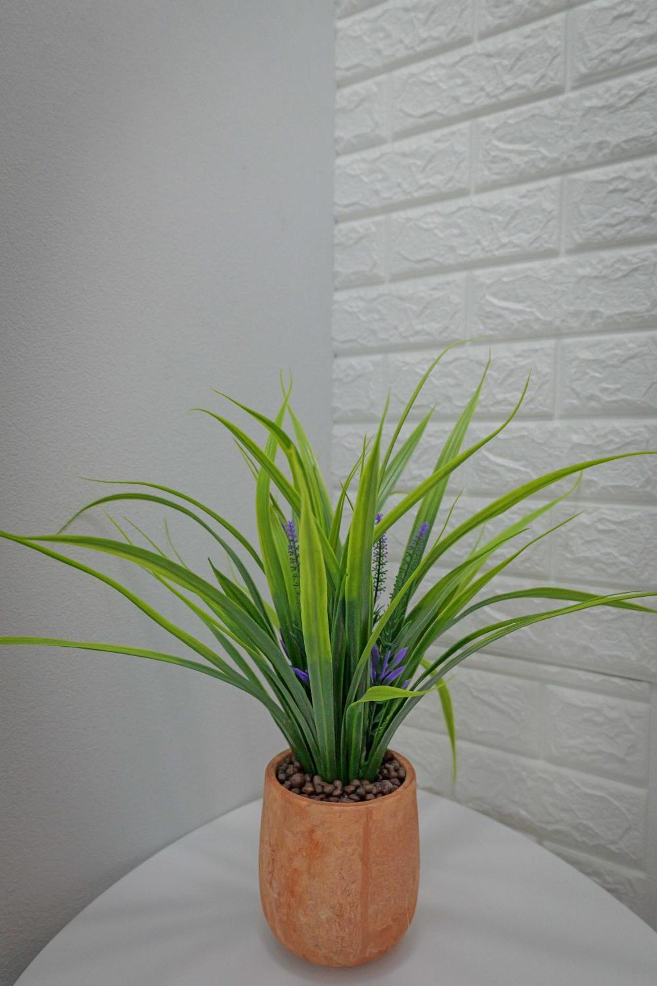 Nanaj Appartement *