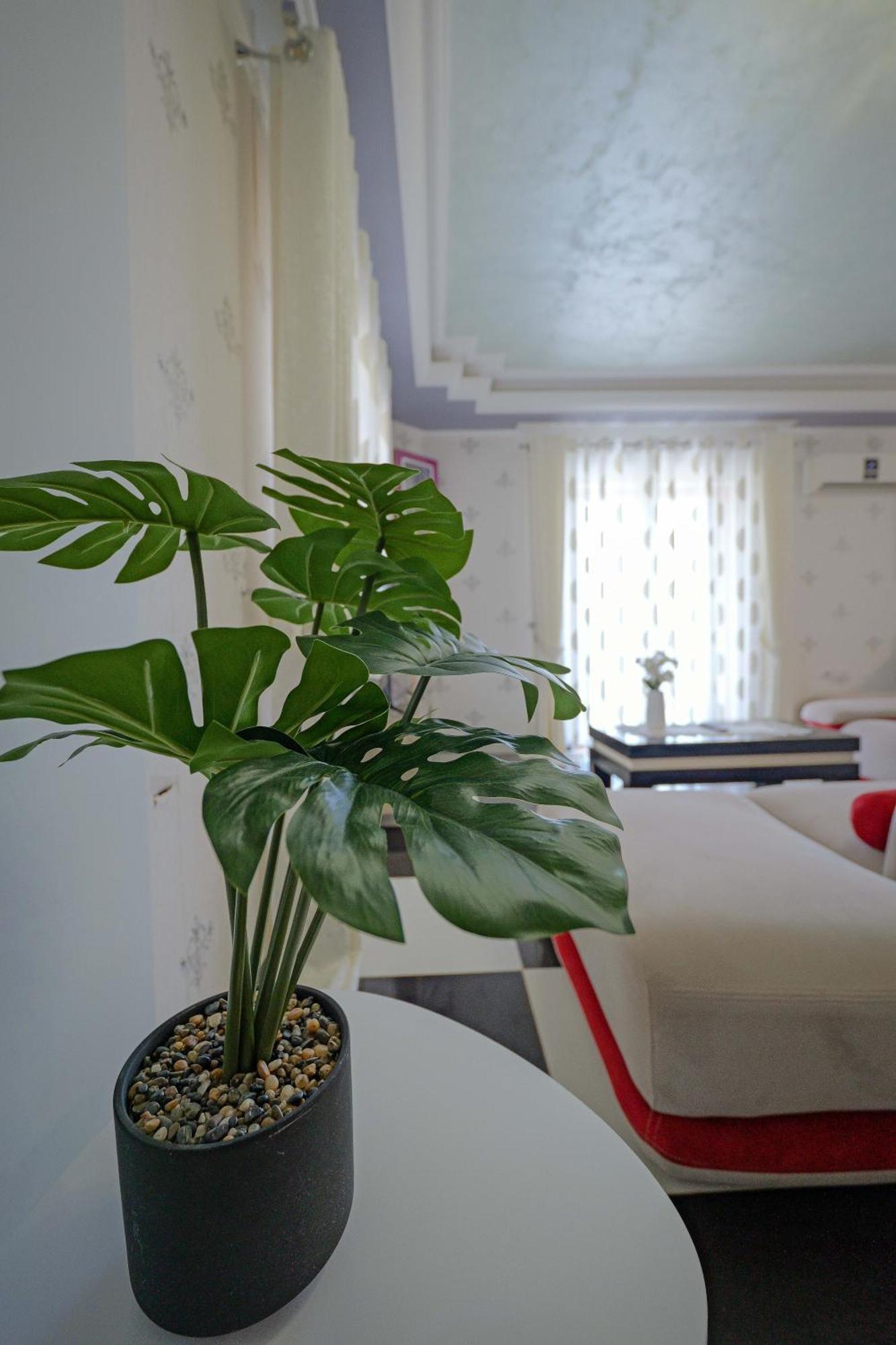 Nanaj Appartement *